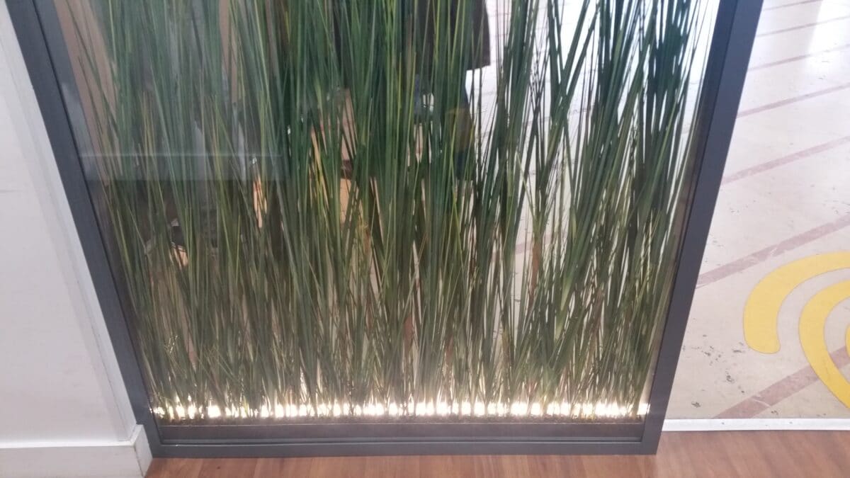 Dans un espace accueil, cloison vitrée toute hauteur décor végétaux artificiels avec faisceaux lumineux.